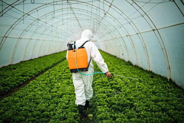 Best Pest Control for Homes  in Central, LA