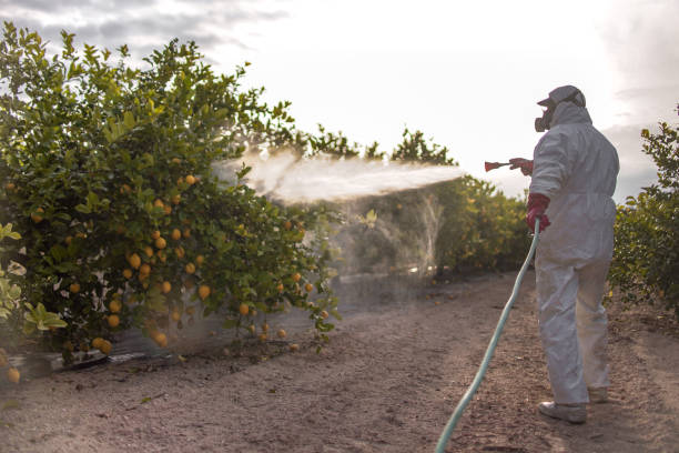 Best Ant Control Services  in Central, LA