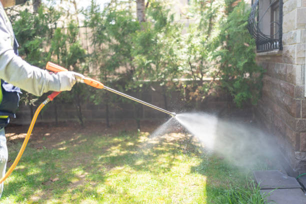Best Spider Control Near Me  in Central, LA