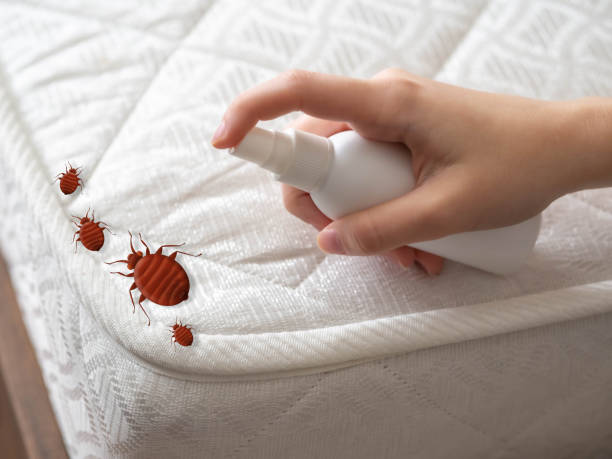 Best Mosquito Control Services  in Central, LA