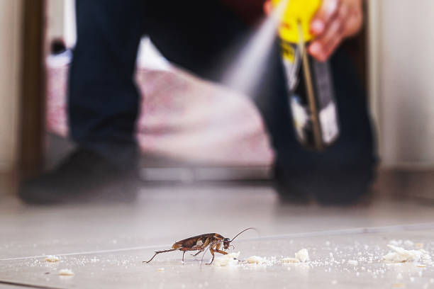 Best Pest Control for Businesses  in Central, LA